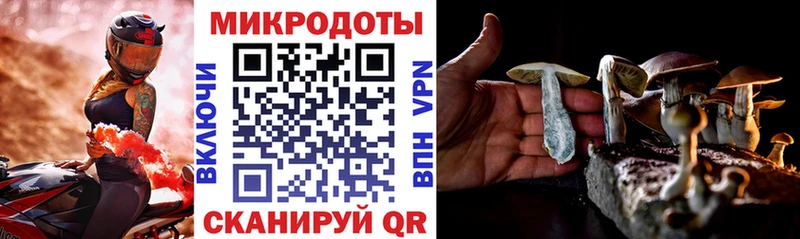 сайты даркнета официальный сайт  Хвалынск  Псилоцибиновые грибы мицелий 